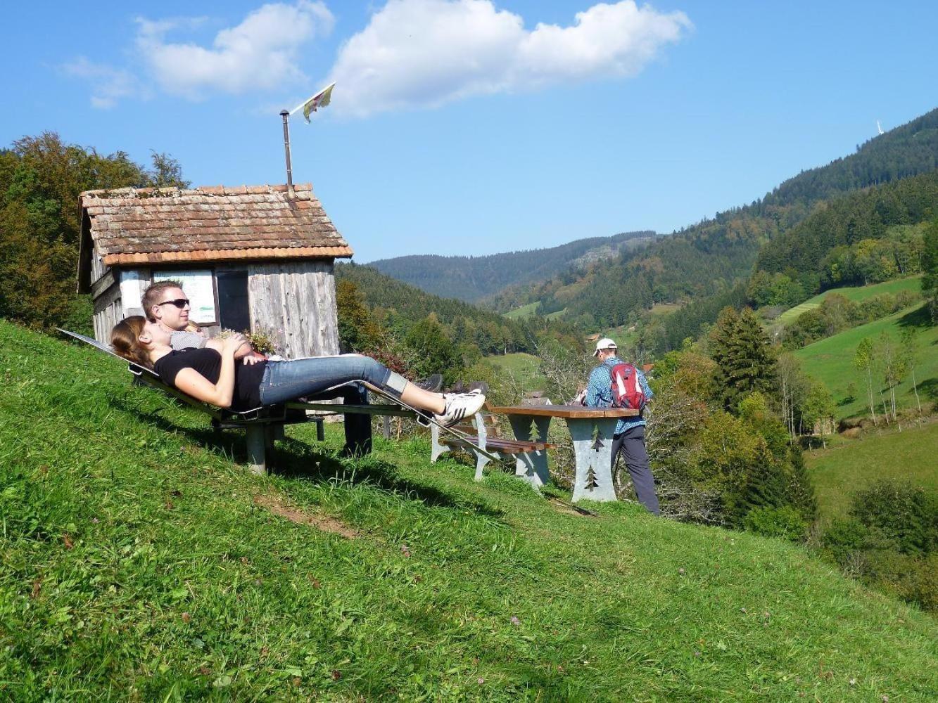 Ferienwohnung Am Kapellenberg - Am Rande Des Nationalparks Schwarzwald Bad Peterstal-Griesbach Extérieur photo
